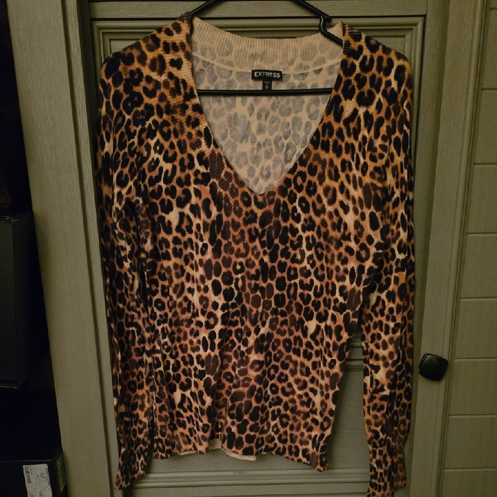 Womens Express Fitted Leopard VNeck Sweater